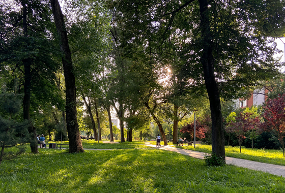 Де прогулюватися й проводити час мешканцям ЖК Comfort Park? Сквер «Первоцвіт» – осередок життя та відпочинку на Пасічній